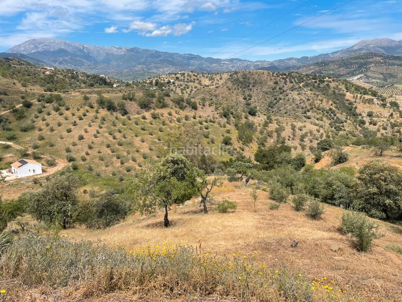 Foto fb52bdbf-6b67-4e0c-9ffb-463546b28c42. Finca rústica a Guaro