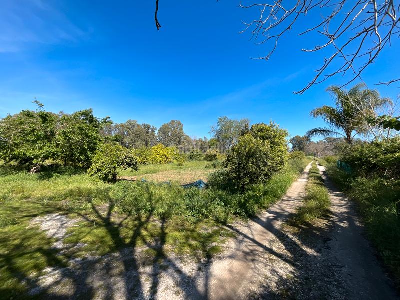 Foto d27a5eba-d896-40c4-a7bb-aa764ed34156. Masía finca rustica en la juntilla en Coín