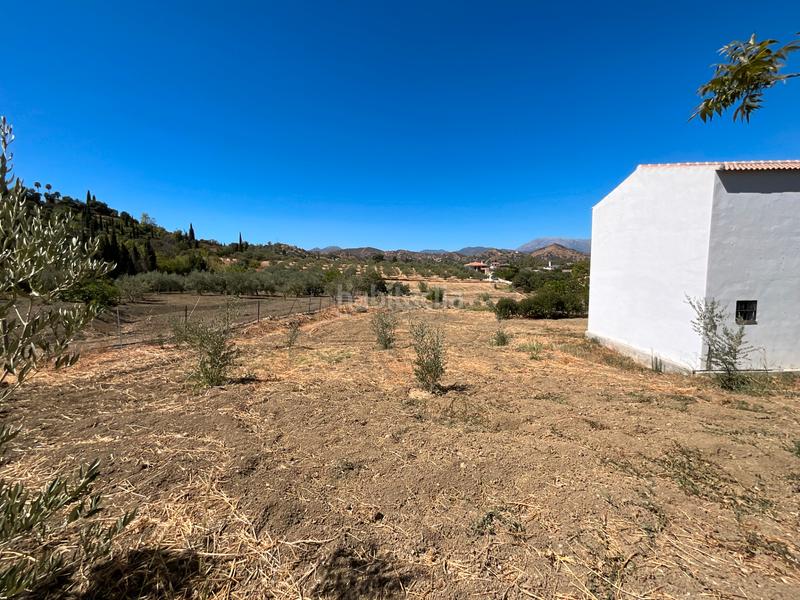 Foto 1d34f167-a14b-484f-9bd4-f66e59cf5ace. Mas dans Coín