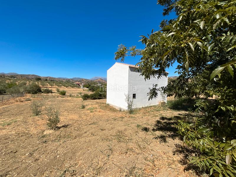 Foto 35cbd06e-8bc3-44e0-8305-3fd34b0f7dfd. Mas dans Coín