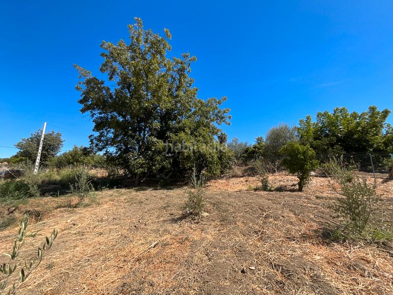 Foto 3abaec25-4ae6-4986-99e8-7c1eb57184a7. Mas dans Coín