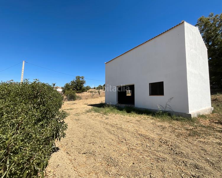 Foto ac71d5e8-6b2e-4a6b-b37b-57b6d0c53f31. Mas dans Coín