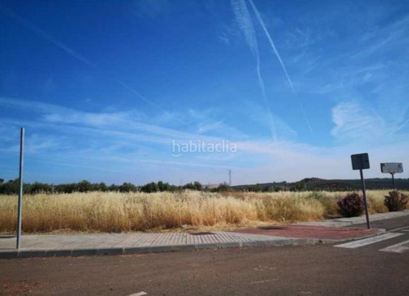Foto f495d884-81aa-4515-ba02-0503c4dab20c. Terrain industriel dans Carboneros