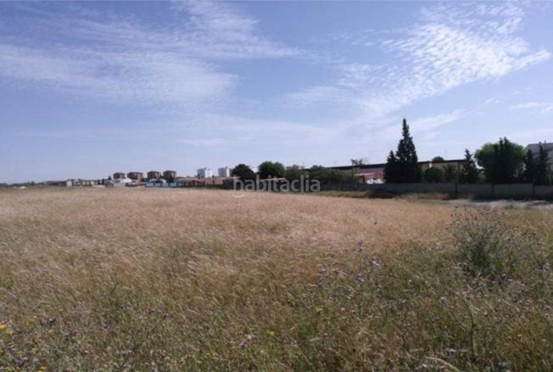 Foto b4873531-0529-43a8-b20e-af80efdea396. Terreny residencial a La Zarzuela - San José - Belén Linares