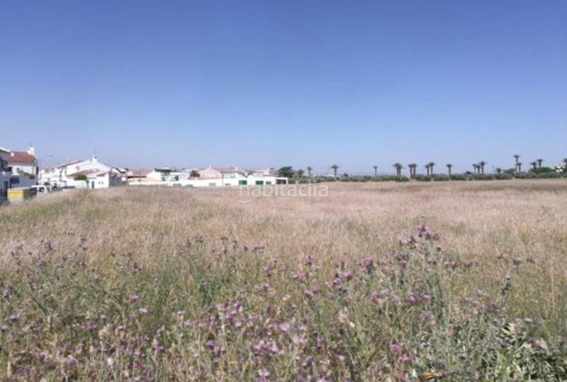 Foto f059a8c0-8717-462b-bad8-52cc57cdd6ef. Terreny residencial a La Zarzuela - San José - Belén Linares