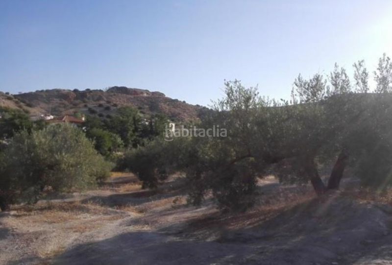 Foto 5eaded97-f54d-4d69-a8c2-1e50e49eeef3. Terreny residencial a Puente Tablas - Puente Nuevo - Cerro Molina Jaén