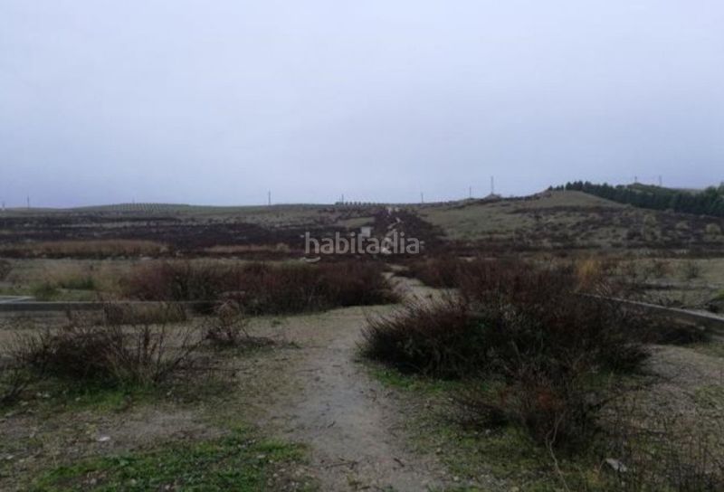 Foto 0be55254-0d18-4901-867c-1f36c5588aff. Terreny residencial a Centro ciudad Linares