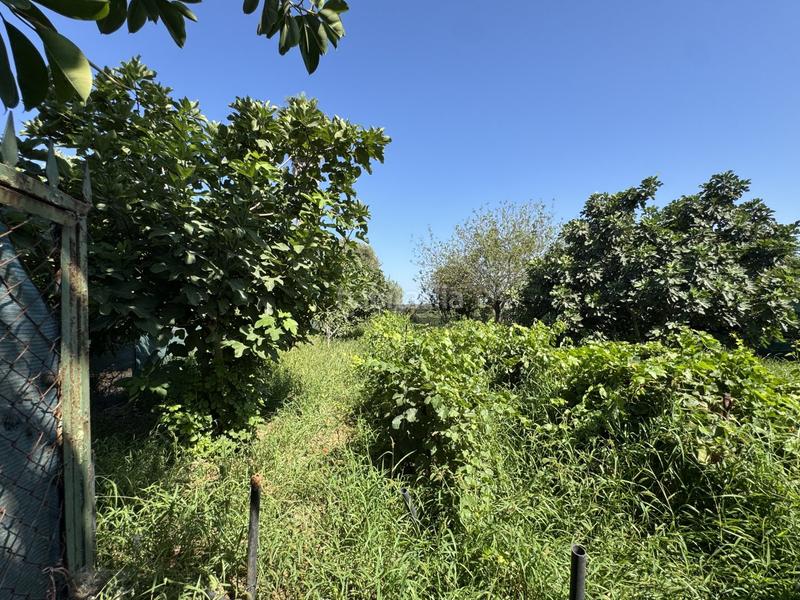 Foto 7fdd0733-849d-4a39-80c4-dc77ed677713. Terrain résidentiel dans Las Tres Piedras - Costa Ballena Chipiona