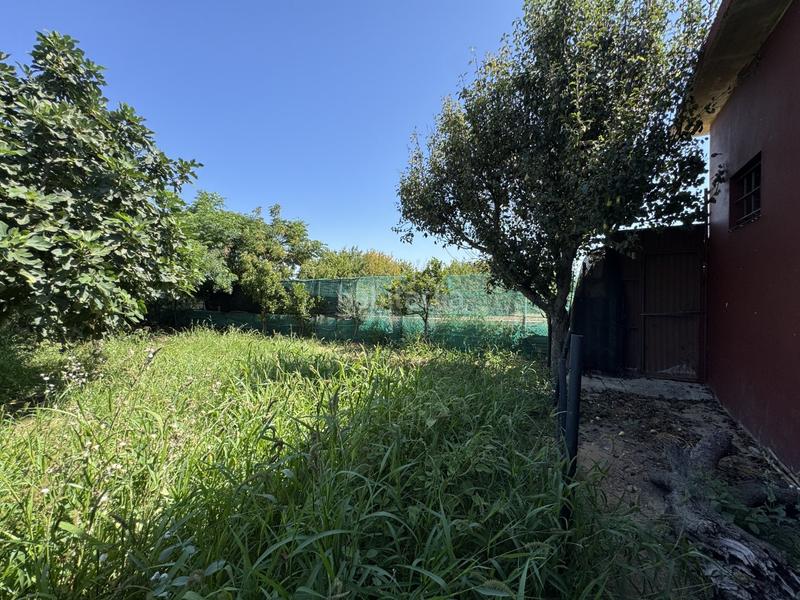 Foto 8a28f8a5-1b78-41cc-89a8-f035ad4e8f0c. Terrain résidentiel dans Las Tres Piedras - Costa Ballena Chipiona