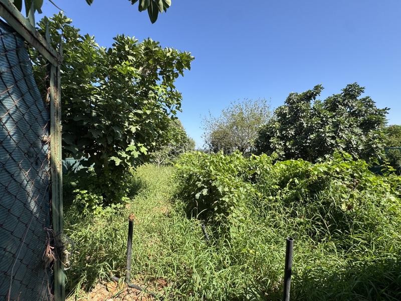 Foto b71e7527-d5a1-4098-8dde-bf80fc99107b. Terrain résidentiel dans Las Tres Piedras - Costa Ballena Chipiona