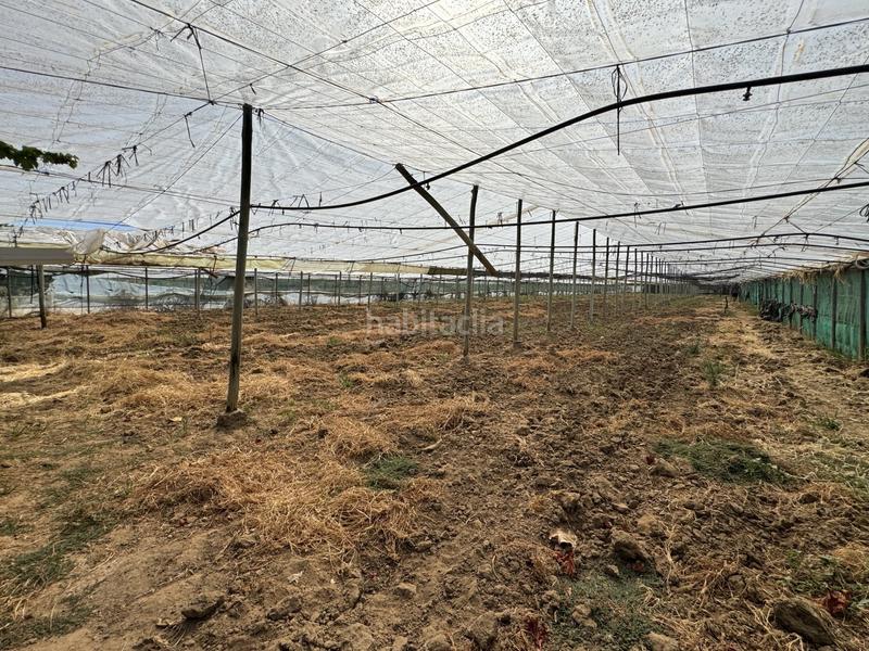 Foto b864840e-f33d-44e4-a288-378df51d0c63. Terrain résidentiel dans Las Tres Piedras - Costa Ballena Chipiona