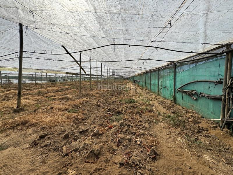 Foto c49a38e2-4dde-46f0-8b70-e6878842704f. Terrain résidentiel dans Las Tres Piedras - Costa Ballena Chipiona