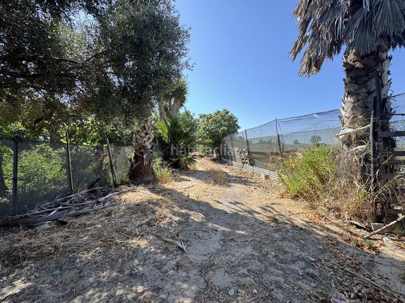 Foto eecf3f7e-7957-4311-a5a2-78d2458eda8e. Terrain résidentiel dans Las Tres Piedras - Costa Ballena Chipiona