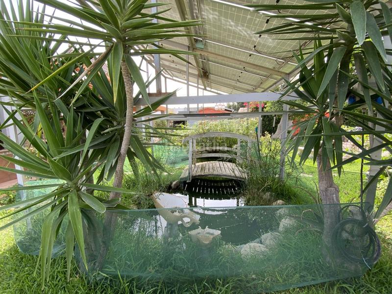 Foto d6898b32-903c-4591-8009-d274c7ae09db. Masía magnífica casa de campo con parcela de 900 m!te presentamos esta maravillosa propiedad, ideal para quienes buscan paz, tranquilida en Chipiona