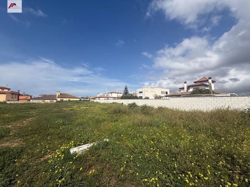 Foto 49187da5-fb7c-4d32-bd92-235890141bbd. Rural plot in Cuatro Pinos - El Carmen Puerto de Santa María (El)