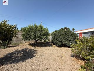 Masia en Carretera de Sanlcar - Sudamrica. Parcela con vivienda en la imbrusqueta