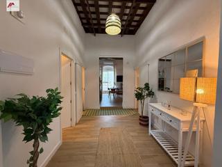 Miete Etagenwohnung in Casco Histórico - Zona Alta. Piso planta baja alquiler anual centro