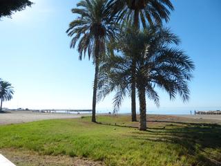 Location Appartement  Calle padre coloma