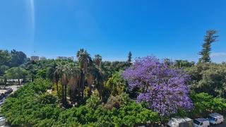 Rent Flat in Centro Histórico. Piso en alquiler en málaga, 3 dormitorios.