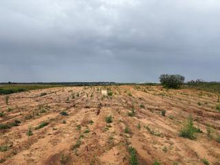 Rural plot in Bollullos Par del Condado
