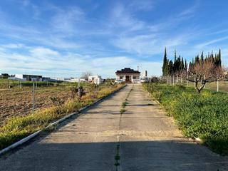 Mas à Villalba del Alcor