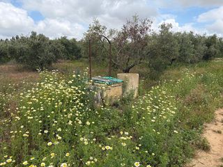 Masia a Bollullos Par del Condado