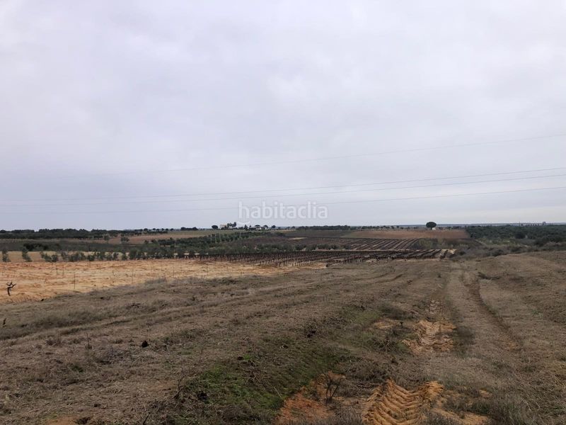 Foto 4e433b36-cd4b-4272-8383-8f289de6dd1f. Finca rústica a Bollullos Par del Condado