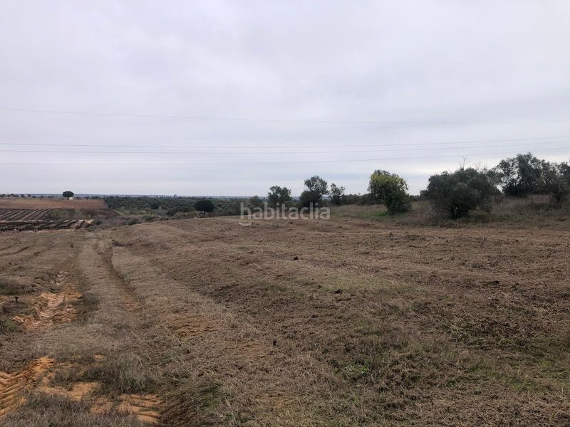 Foto 567480c6-9277-4336-9503-f794d0d0d912. Finca rústica a Bollullos Par del Condado