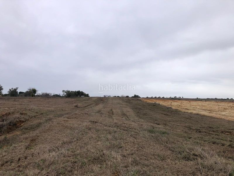 Foto d0472219-1000-4fad-b235-6e7a4a0d72e7. Finca rústica a Bollullos Par del Condado