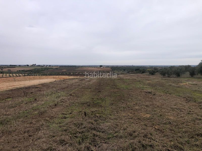 Foto dbd80edb-da70-41a9-8bc8-9d9c70654bc1. Finca rústica a Bollullos Par del Condado