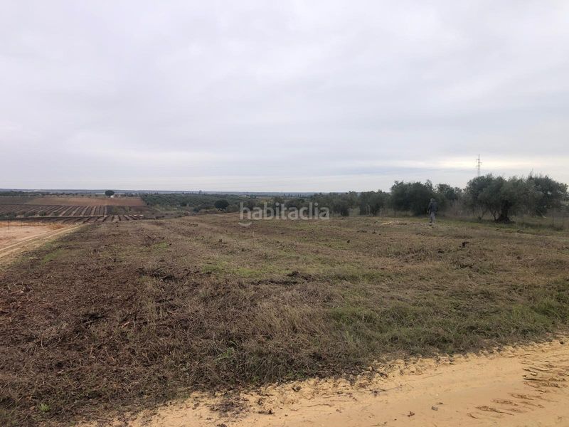 Foto eab8bd2e-6f80-41f5-929c-92d5f6a194b0. Finca rústica a Bollullos Par del Condado