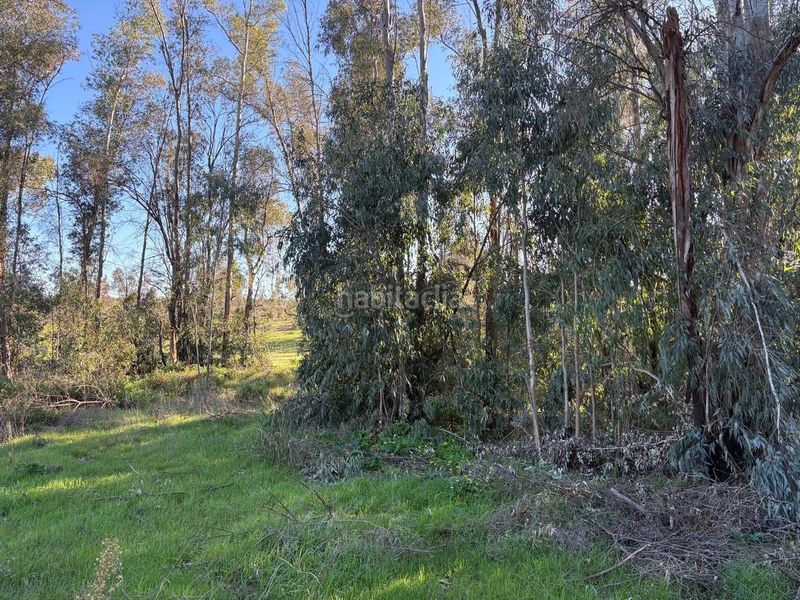 Foto 61fa07f7-0cb4-4542-b8c4-b333705e44b2. Finca rústica a Rociana del Condado
