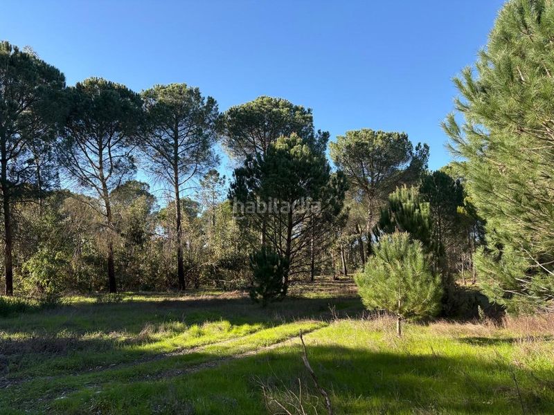 Foto be1d92f0-bbc8-4059-ab1c-a4a0814ba1d2. Finca rústica a Rociana del Condado