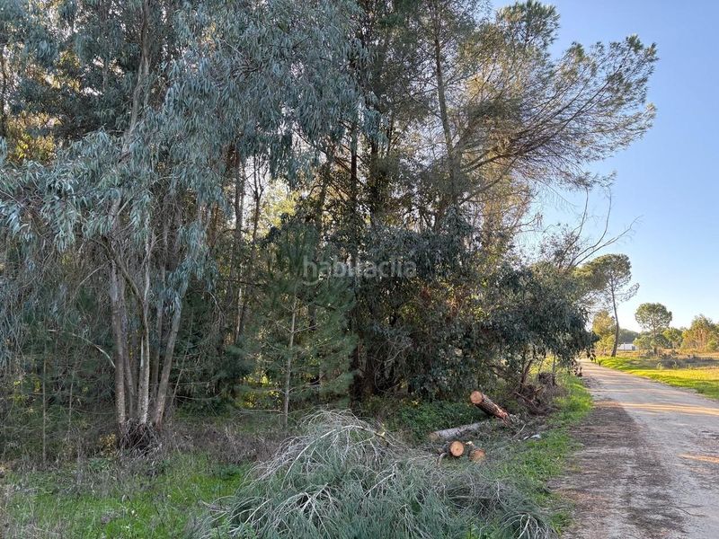Foto 4bd0eafa-5334-4b15-b3fc-b893b1a2e0b4. Finca rústica a Rociana del Condado