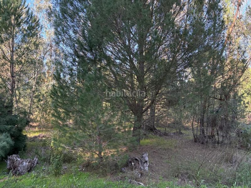 Foto e0583977-49da-456e-a3d4-f3a9748e915c. Finca rústica a Rociana del Condado