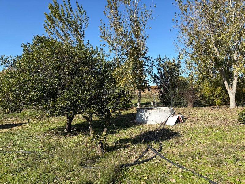 Foto a2476eee-48bd-4feb-ba60-41c637323ac1. Finca rústica a Bollullos Par del Condado