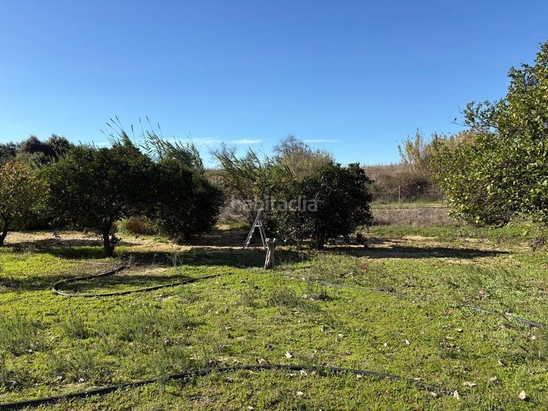 Foto c2f9122c-450c-488e-8b9c-5cd8fcc56d9e. Finca rústica a Bollullos Par del Condado