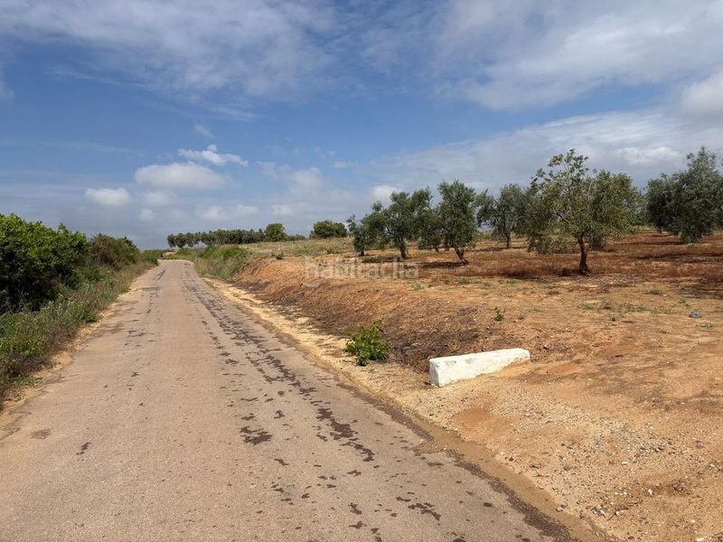 Foto aa20cabe-b133-4275-8eca-3c63bfcf2791. Finca rústica parcela rústica de labor en Almonte Almonte