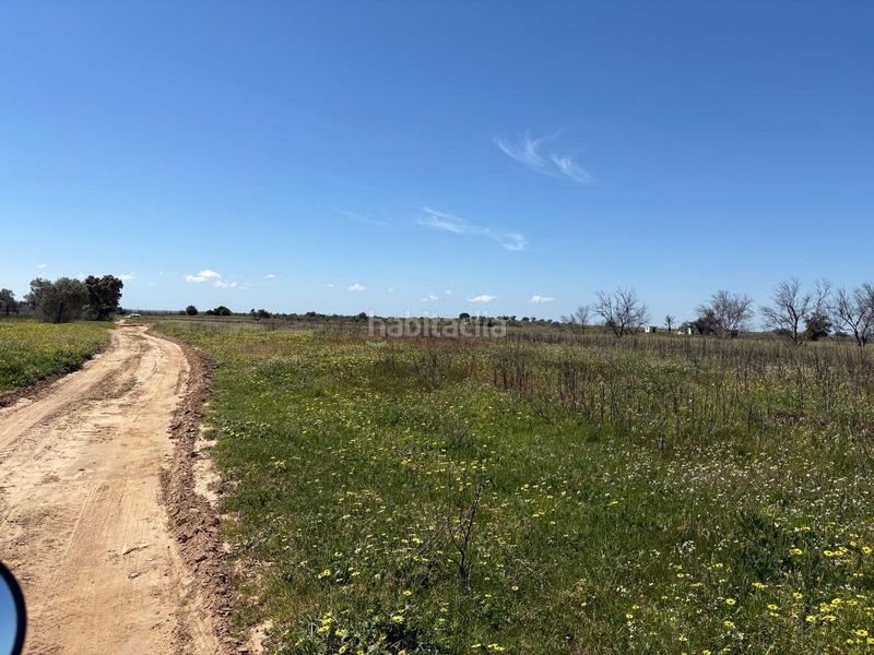Foto 0c99d969-6d1d-4615-af4d-b2499a53c0df. Finca rústica a Bollullos Par del Condado