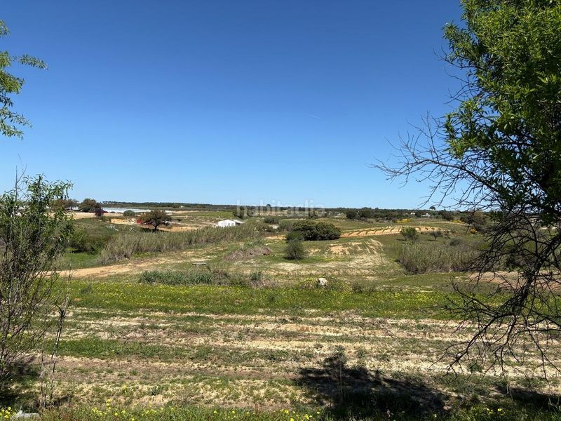 Foto abf7813d-fe47-436e-bb21-aca9cd7d9c3c. Finca rústica a Bollullos Par del Condado