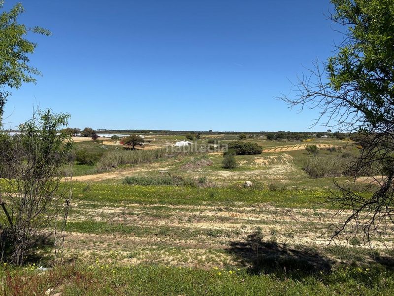 Foto ad22c9f5-a73b-4f84-bd57-7b938d7aa36d. Finca rústica a Bollullos Par del Condado