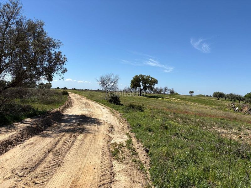 Foto f940fb46-2d19-4b36-ba71-dcd688e65674. Finca rústica a Bollullos Par del Condado
