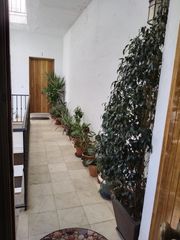 Apartment  Alcalde jose acosta. Gran oportunidad de apartamento de nueva construcción en buena z