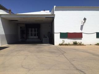 Local commercial  Miguel hernández. Local en venta en avda., 3 dormitorios.