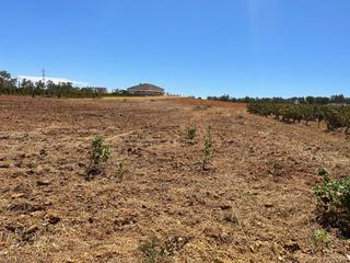 Masia a Almonte. Finca en venta en almonte.