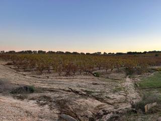 Propriété à Bollullos Par del Condado. Finca rúst. en venta en periferia.