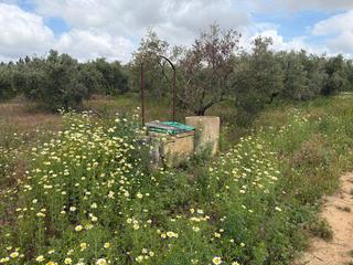 Masia a Bollullos Par del Condado. Finca rúst. en venta en periferia.
