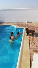 Masia a Bollullos Par del Condado. Finca en venta en bollullos par del condado.