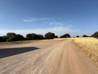 Masia a Ruidera. Finca rúst. en venta en ruidera, 16 dormitorios.