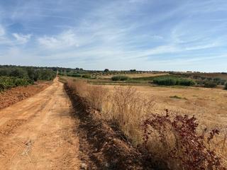 Finca rústica a Bollullos Par del Condado. Parcela rústica de labor